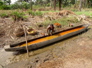 Village woman extracting oil from palm fruits in her canoe.